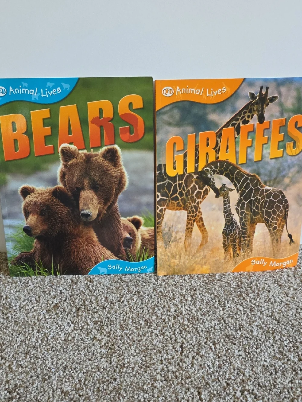Children's Animal Book Set Dangerous Animals, Elephants, Bears, Giraffes, Rhinos